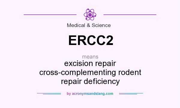 What does ERCC2 mean? It stands for excision repair cross-complementing rodent repair deficiency