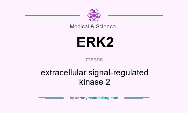 What does ERK2 mean? It stands for extracellular signal-regulated kinase 2