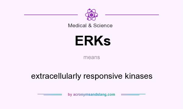 What does ERKs mean? It stands for extracellularly responsive kinases