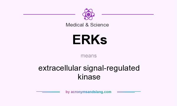 What does ERKs mean? It stands for extracellular signal-regulated kinase