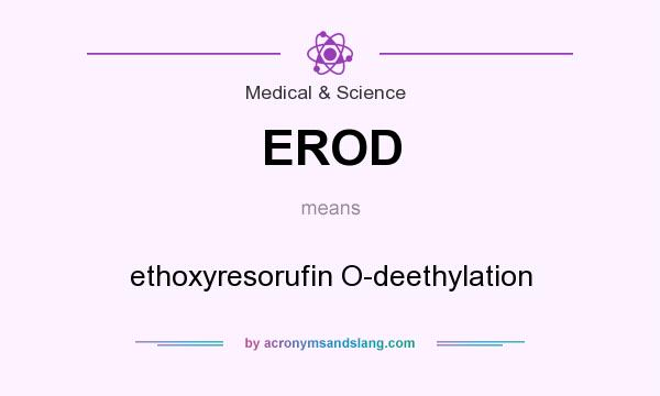 What does EROD mean? It stands for ethoxyresorufin O-deethylation