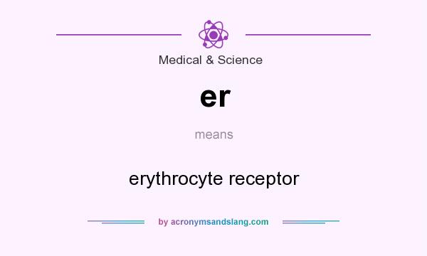 What does er mean? It stands for erythrocyte receptor