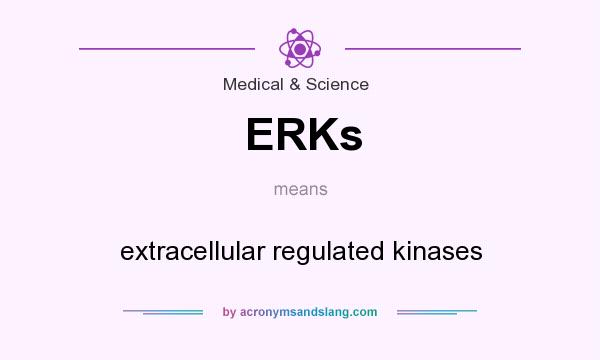 What does ERKs mean? It stands for extracellular regulated kinases