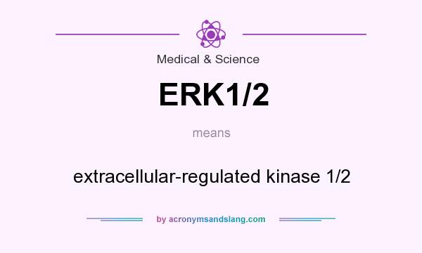 What does ERK1/2 mean? It stands for extracellular-regulated kinase 1/2