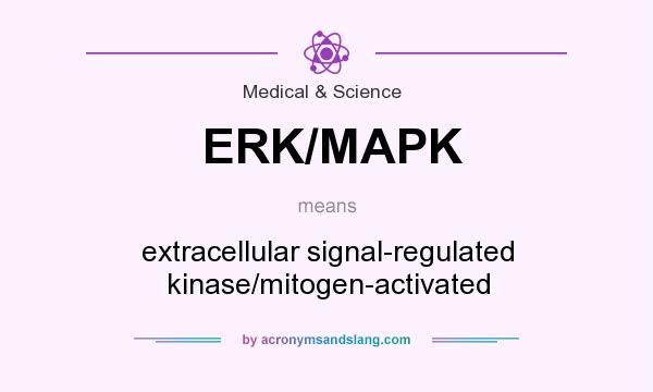What does ERK/MAPK mean? It stands for extracellular signal-regulated kinase/mitogen-activated