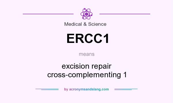 What does ERCC1 mean? It stands for excision repair cross-complementing 1