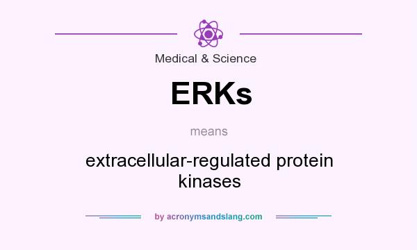 What does ERKs mean? It stands for extracellular-regulated protein kinases
