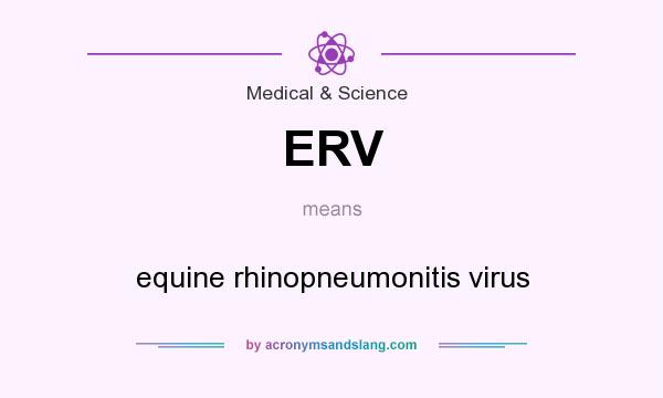 What does ERV mean? It stands for equine rhinopneumonitis virus