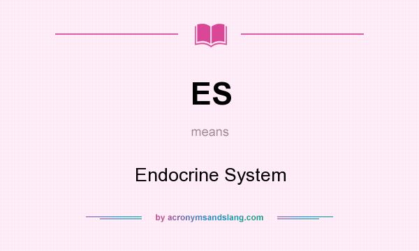 What does ES mean? It stands for Endocrine System