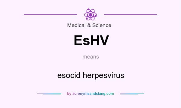 What does EsHV mean? It stands for esocid herpesvirus