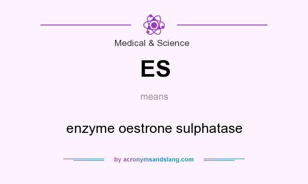 What does ES mean? It stands for enzyme oestrone sulphatase