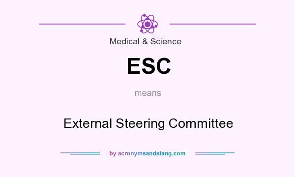 What does ESC mean? It stands for External Steering Committee