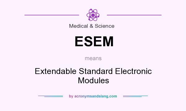 What does ESEM mean? It stands for Extendable Standard Electronic Modules