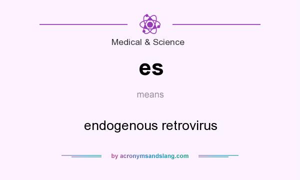 What does es mean? It stands for endogenous retrovirus