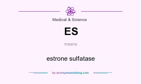 What does ES mean? It stands for estrone sulfatase