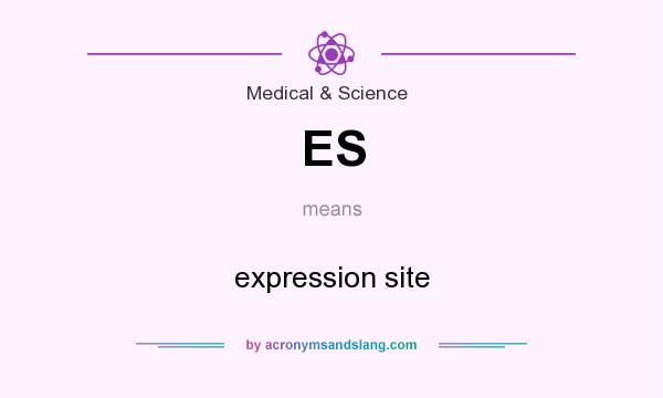 What does ES mean? It stands for expression site