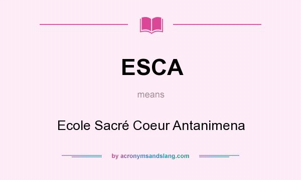 What does ESCA mean? It stands for Ecole Sacré Coeur Antanimena