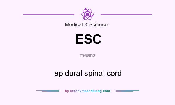 What does ESC mean? It stands for epidural spinal cord