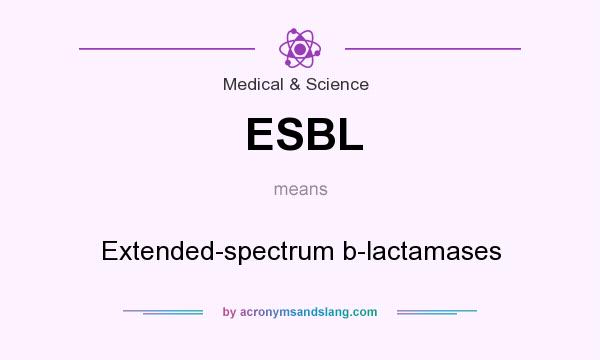 What does ESBL mean? It stands for Extended-spectrum b-lactamases