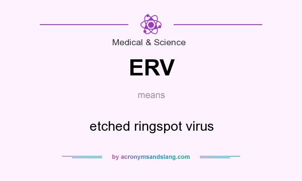 What does ERV mean? It stands for etched ringspot virus
