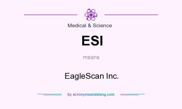 What does ESI mean? It stands for EagleScan Inc.