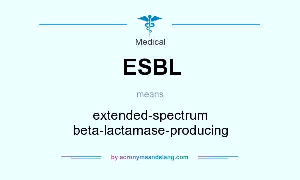 What does ESBL mean? It stands for extended-spectrum beta-lactamase-producing