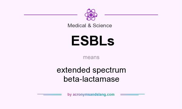 What does ESBLs mean? It stands for extended spectrum beta-lactamase