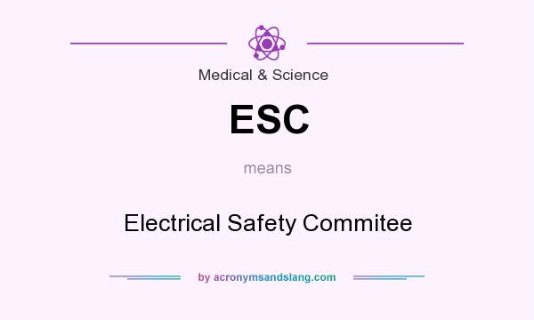 What does ESC mean? It stands for Electrical Safety Commitee