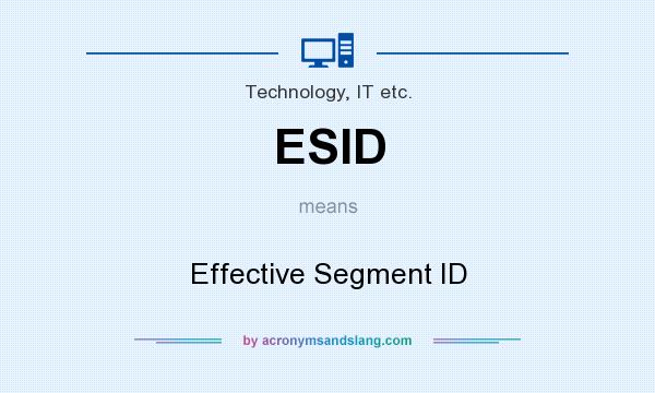 What does ESID mean? It stands for Effective Segment ID