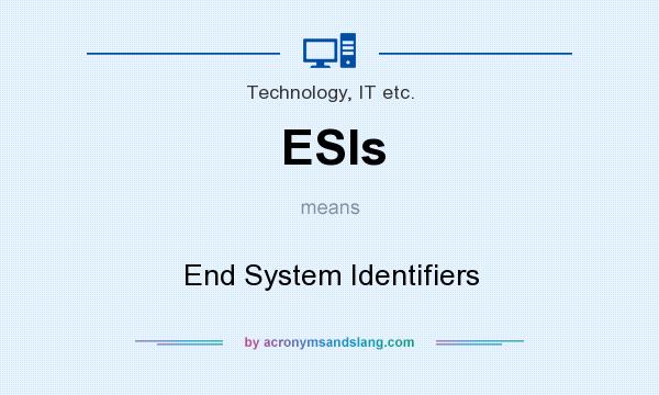 What does ESIs mean? It stands for End System Identifiers