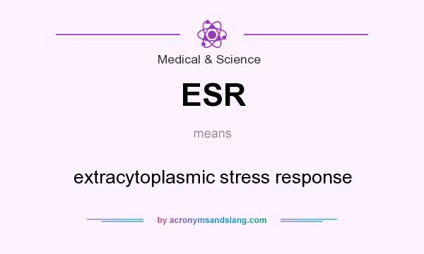 What does ESR mean? It stands for extracytoplasmic stress response