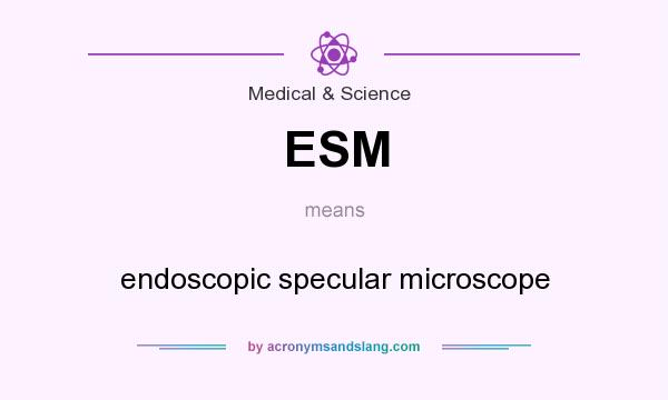 What does ESM mean? It stands for endoscopic specular microscope