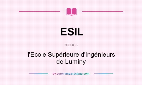 What does ESIL mean? It stands for l`Ecole Supérieure d`Ingénieurs de Luminy