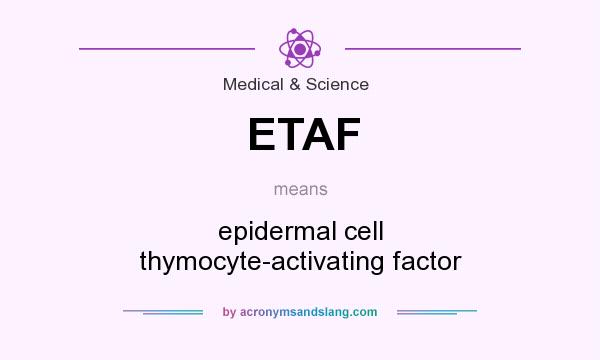 What does ETAF mean? It stands for epidermal cell thymocyte-activating factor