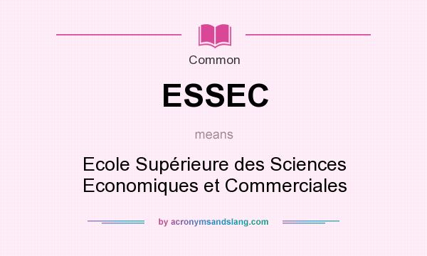 What does ESSEC mean? It stands for Ecole Supérieure des Sciences Economiques et Commerciales