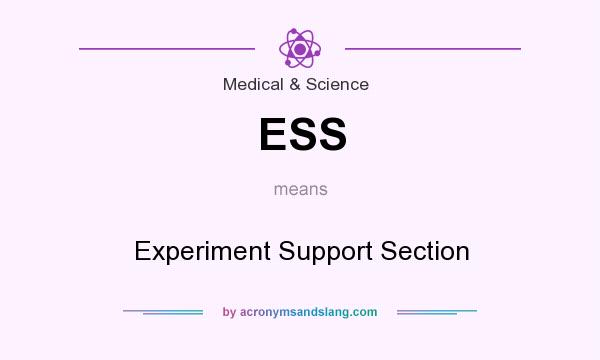 What does ESS mean? It stands for Experiment Support Section