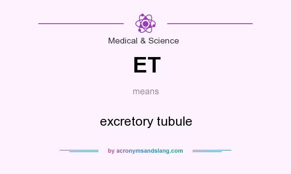 What does ET mean? It stands for excretory tubule