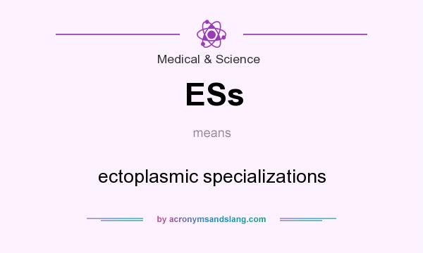 What does ESs mean? It stands for ectoplasmic specializations