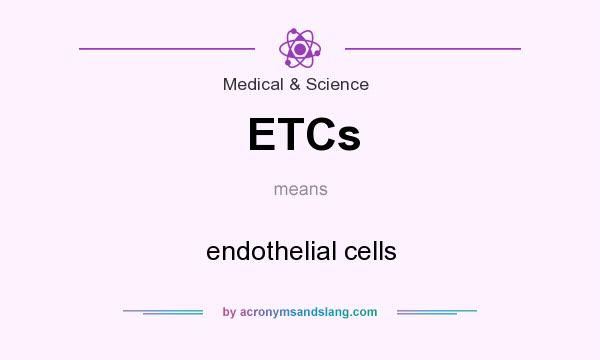 What does ETCs mean? It stands for endothelial cells