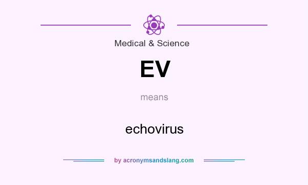 What does EV mean? It stands for echovirus