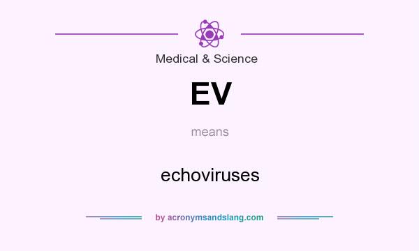 What does EV mean? It stands for echoviruses