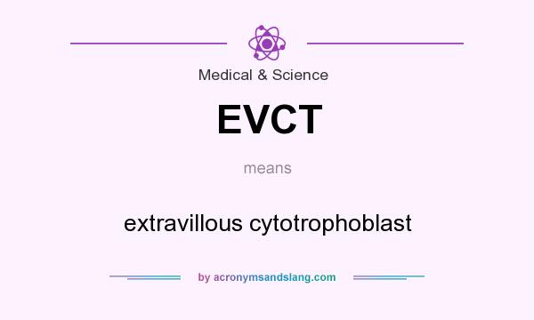 What does EVCT mean? It stands for extravillous cytotrophoblast