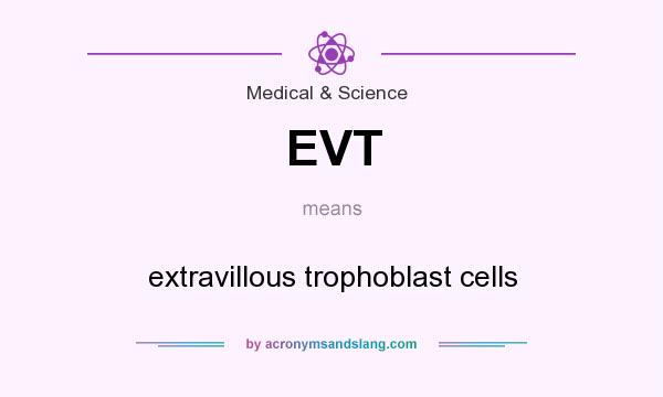 What does EVT mean? It stands for extravillous trophoblast cells