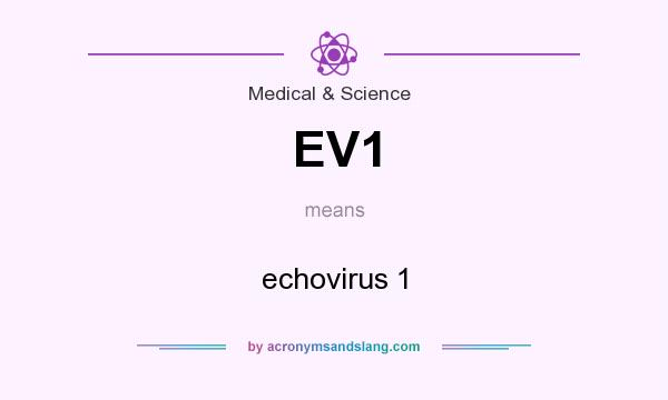 What does EV1 mean? It stands for echovirus 1