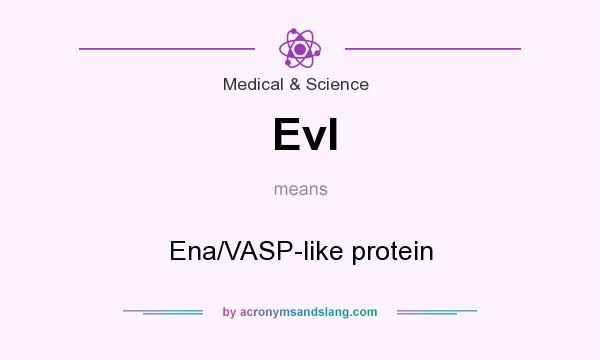 What does Evl mean? It stands for Ena/VASP-like protein