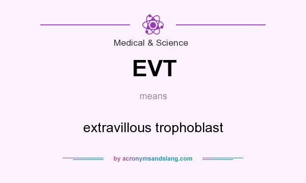 What does EVT mean? It stands for extravillous trophoblast