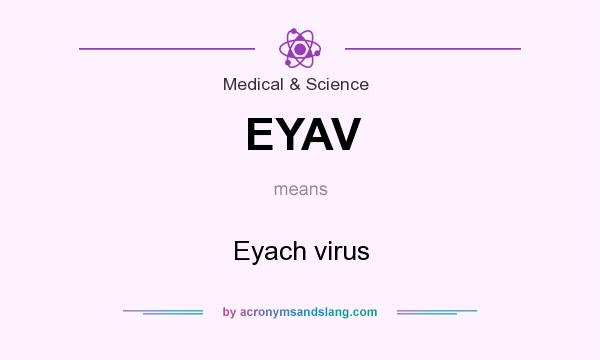 What does EYAV mean? It stands for Eyach virus