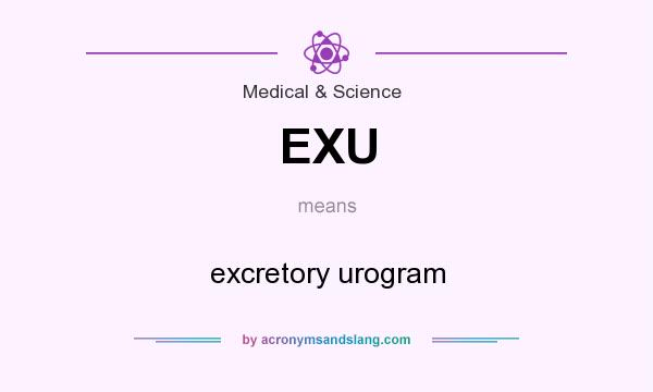 What does EXU mean? It stands for excretory urogram