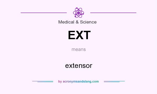 What does EXT mean? It stands for extensor