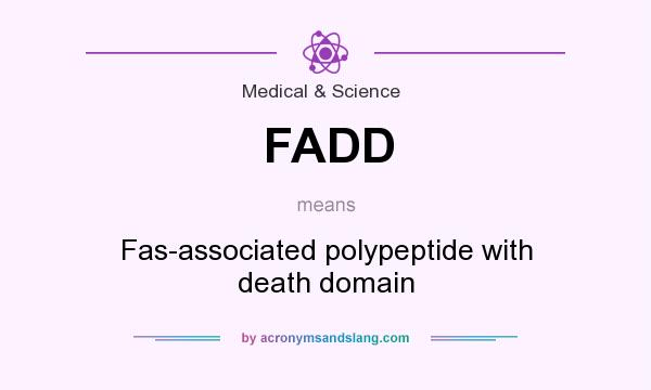 What does FADD mean? It stands for Fas-associated polypeptide with death domain
